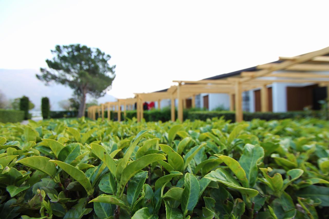 Hotel Bungalows Europa Domaso Zewnętrze zdjęcie
